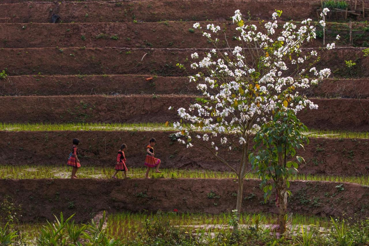 Avana Retreat Mai Chau Eksteriør billede